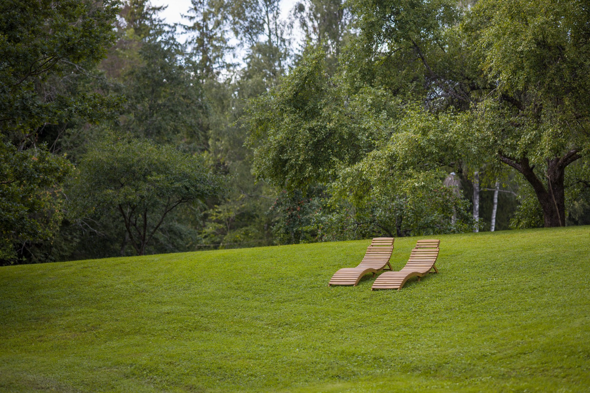Two wooden sun loungers on a grassy slope with a tranquil forest backdrop.